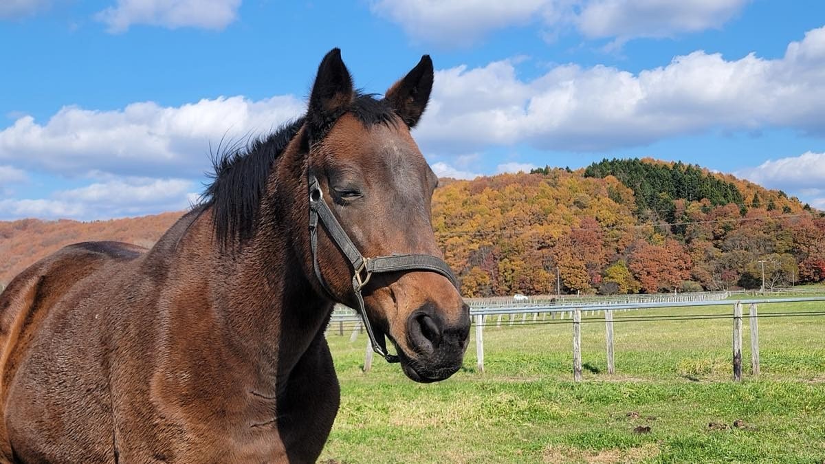 15cfd986bd00014b72cbf0189218fbeb-1763312383.jpg 15cfd986bd00014b72cbf0189218fbeb-1763312383.jpg